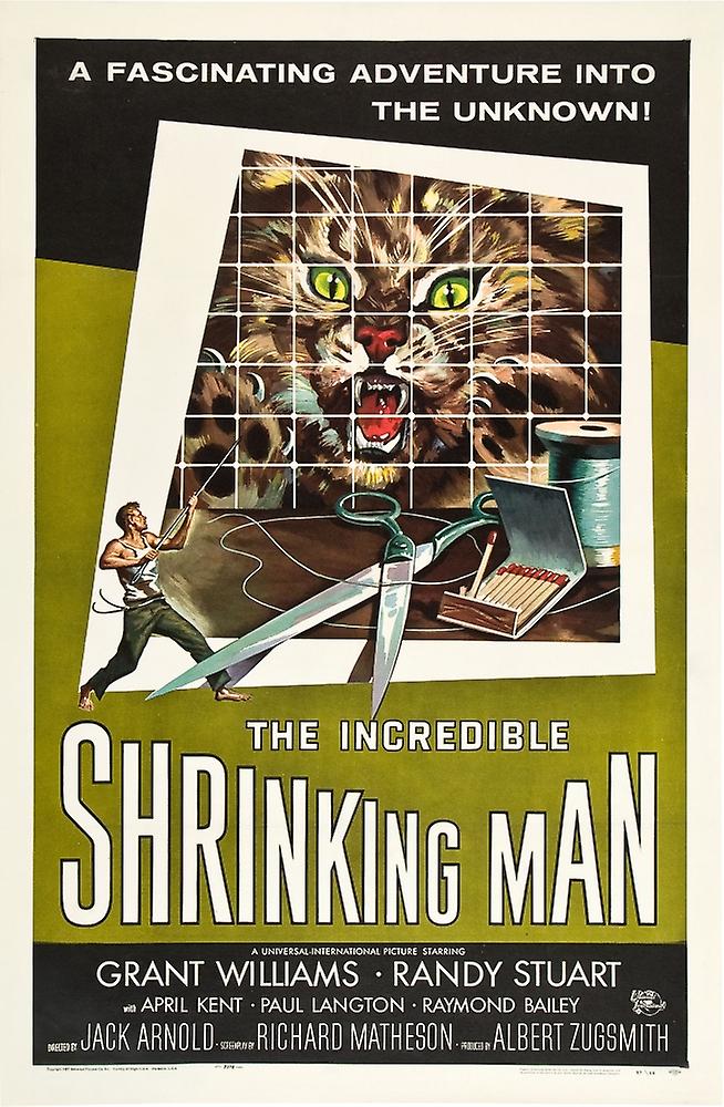 Watch The Incredible Shrinking Man Online