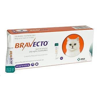 Bravecto 250mg Spot-On løsning For mellomstore katter 2.8-6.25 kg (6-14 lbs)